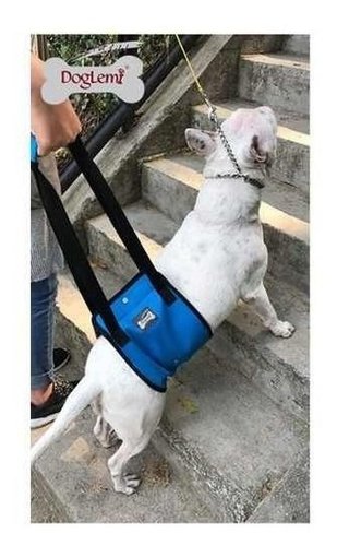 Imagen de Arnes para caderas DogLemi S