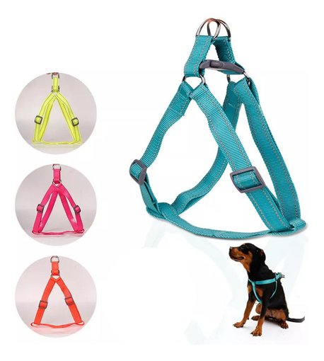 Imagen de Arnes de neon Doglemi L