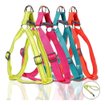 Imagen de Arnes de neon Doglemi L