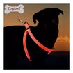 Imagen de Arnes de neon Doglemi L