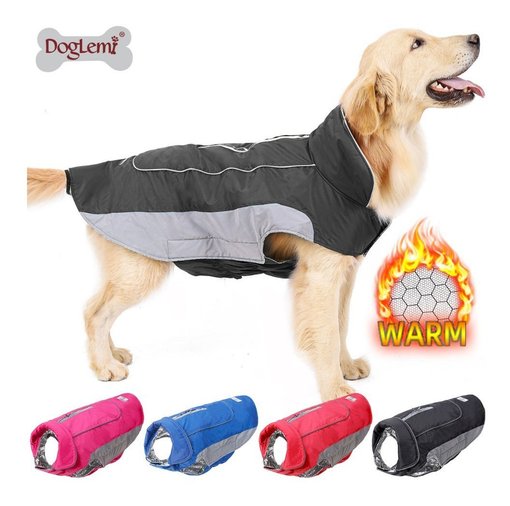 Imagen de Campera termal retencion de calor XXXL