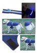 Imagen de Capa impemeable luces led M DogLemi