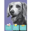 Imagen de M-LINE CACHORROS 10.1KG
