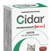 Imagen de CIDAR gatos 1.5 a 3kg