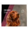 Imagen de Balanced Natural Recipe perro cerdo 3kg