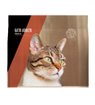 Imagen de Balanced Natural Recipe gato trucha 3kg