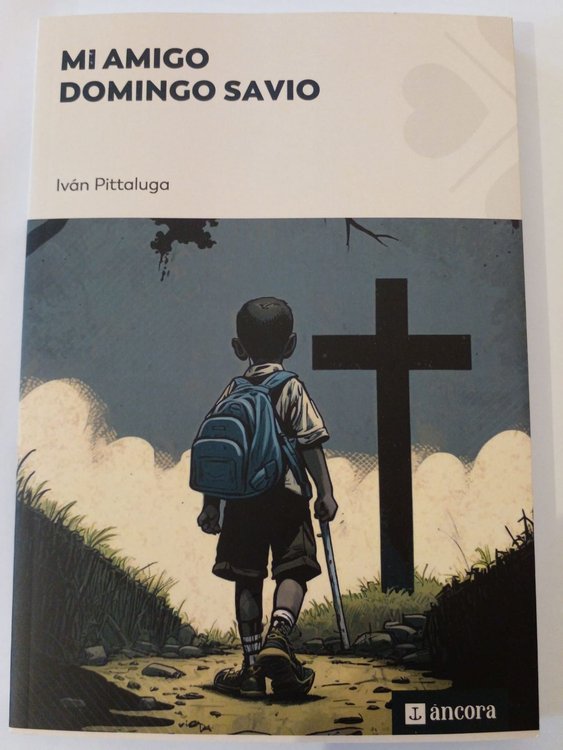 Imagen de Mi amigo Domingo Savio