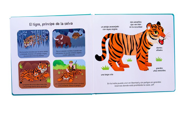 Imagen de Animales que proteger