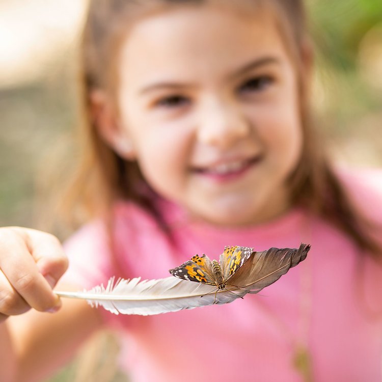 Imagen de Bungalow de mariposas