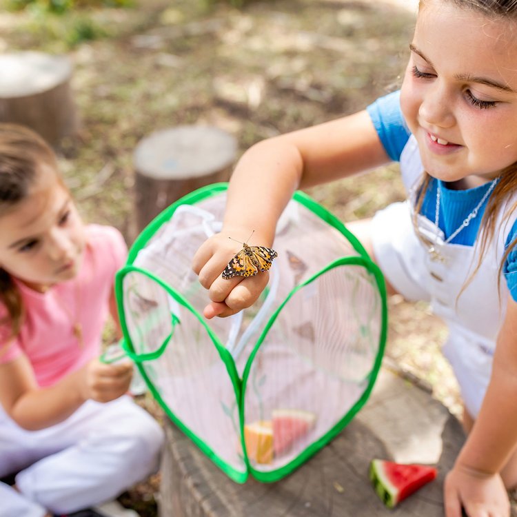 Imagen de Bungalow de mariposas