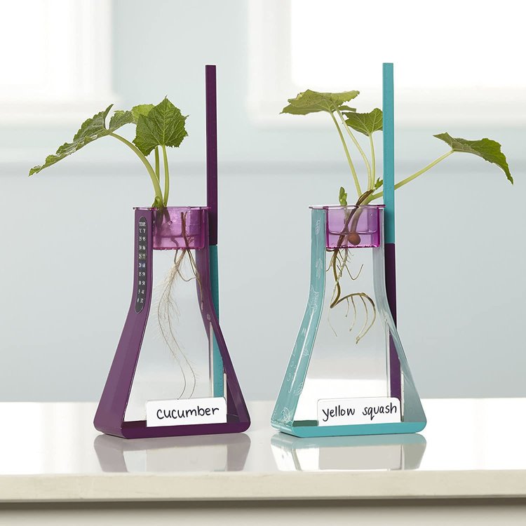 Imagen de Kit de hidroponia y diario de jardinería