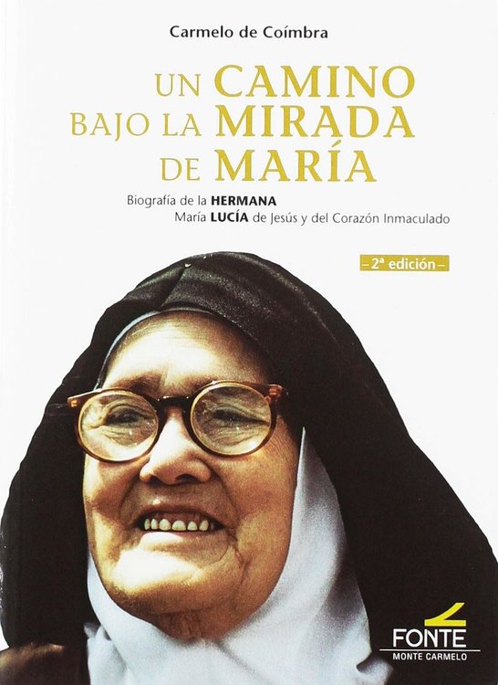 Imagen de Un camino bajo la mirada de María