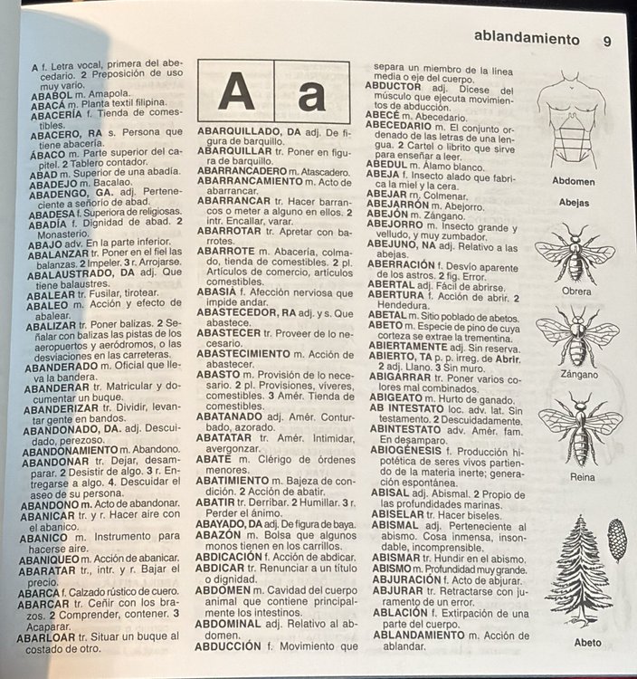 Imagen de Diccionario ilustrado español
