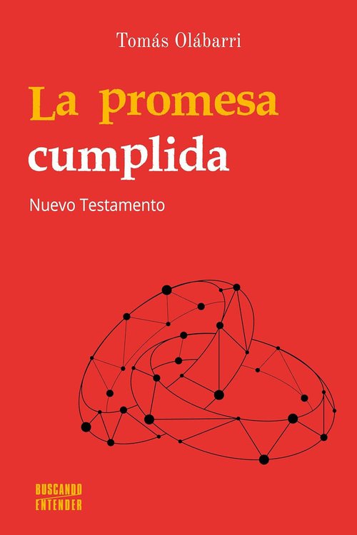 Imagen de La promesa cumplida / Tomás Olábarri Azagra