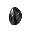 Mouse Genius Ergo 8250S Gold Black inalámbrico vertical ergonómico 1600 DPI