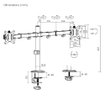 Imagen de SOPORTE BRATECK LDT66-C024 PARA 2 MONITORES 17" A 32" VESA 100X100 HASTA 9KG POR BRAZO