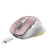 Imagen de MOUSE GENIUS ERGO 9000S PRO PINK