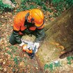Imagen de MOTOSIERRA MS 651 91.1CC 5.0KW STIHL