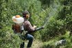 Imagen de MOTO PULVERIZADOR A NAFTA DE MOCHILA 56.5 CC STIHL SR 420