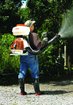 Imagen de MOTO PULVERIZADOR A NAFTA DE MOCHILA 63.3 CC STIHL SR 450