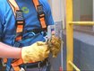 Imagen de SALVA CAÍDAS PARA CABLE 8MM AUTORIZADO MUSITANI