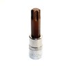 Imagen de BOCALLAVE - TUBO - DADO ENC.1/2  TORX MACHO T20 CROSSMAN
