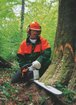 Imagen de MOTOSIERRA 91.1CC  5.0KW  7.4CV  45CM  MS 651  STIHL