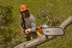 Imagen de PODADORA DE ALTURA 31.4 CC 5 MTS STIHL HT 103