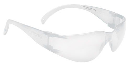 Imagen de LENTES PANORÁMICOS TRANSPARENTES PRETUL