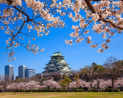 Imagen de Super Japon - Special Tours