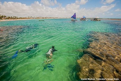 Imagen de Porto de Galinhas - Cupos Confirmados - Verano 2027