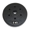 Imagen de Disco Revestido 5kg