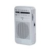 Imagen de Radio de bolsillo AM/FM ICF-961 pila AA