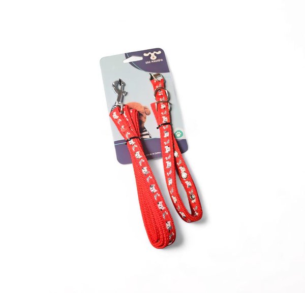 Imagen de Collar + Correa Estampado Chico Abt-1301