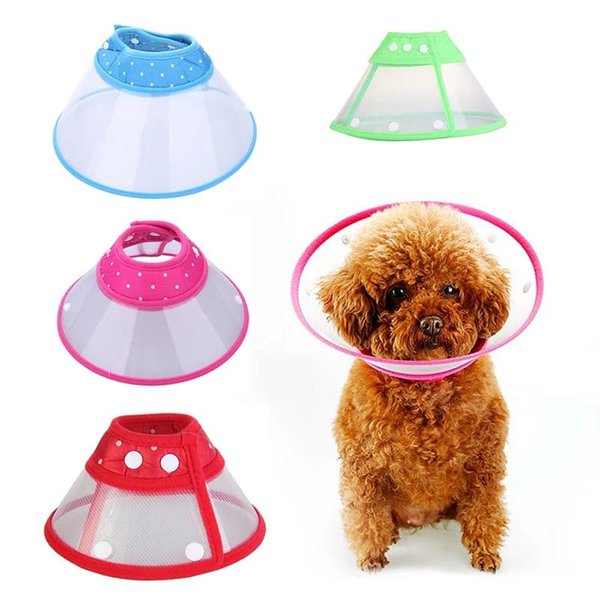 Imagen de Collar Isabelino Boton l Abt-1131