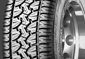 Imagen para la categoría Neumáticos Camionetas