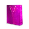 Imagen de Bolsa regalo lisa brillosa