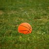 Imagen de Pelota basketball maciza 7cm