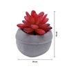 Imagen de Plantita cactus decorativa