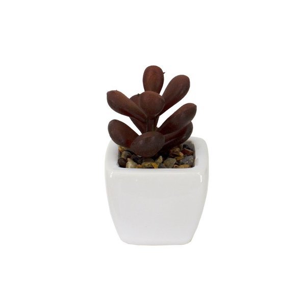 Imagen de Plantas decorativas cactus en florero  ceramica
