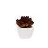 Imagen de Plantas decorativas cactus en florero  ceramica
