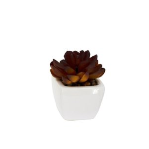 Imagen de Plantas decorativas cactus en florero  ceramica