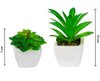 Imagen de Plantas decorativas cactus en florero  ceramica