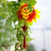 Imagen de Girasol en palito
