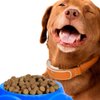 Imagen de Plato para perro con patas