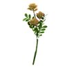 Imagen de Flor ramo rosas