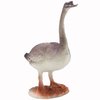 Imagen de Animales de la granja
