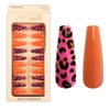 Imagen de Uñas postizas combinadas lisas y animal print 24 unidades Ushas