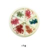 Imagen de Flores 3D para decoración de uñas -  Surtidos