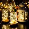 Imagen de Guirnalda Luciérnaga x 20 Luces Led